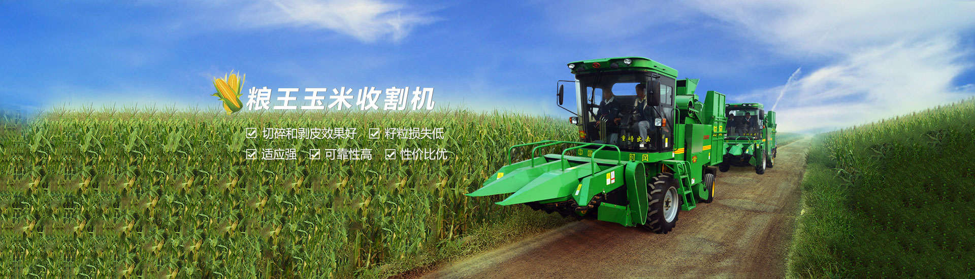 焦点娱乐  路路畅通